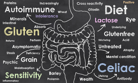 Gluten Sensitivity Diagram