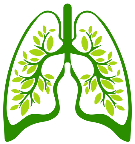 Graphic of Lungs 