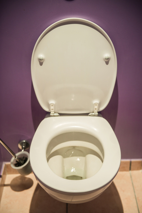 Clean, Open Toilet