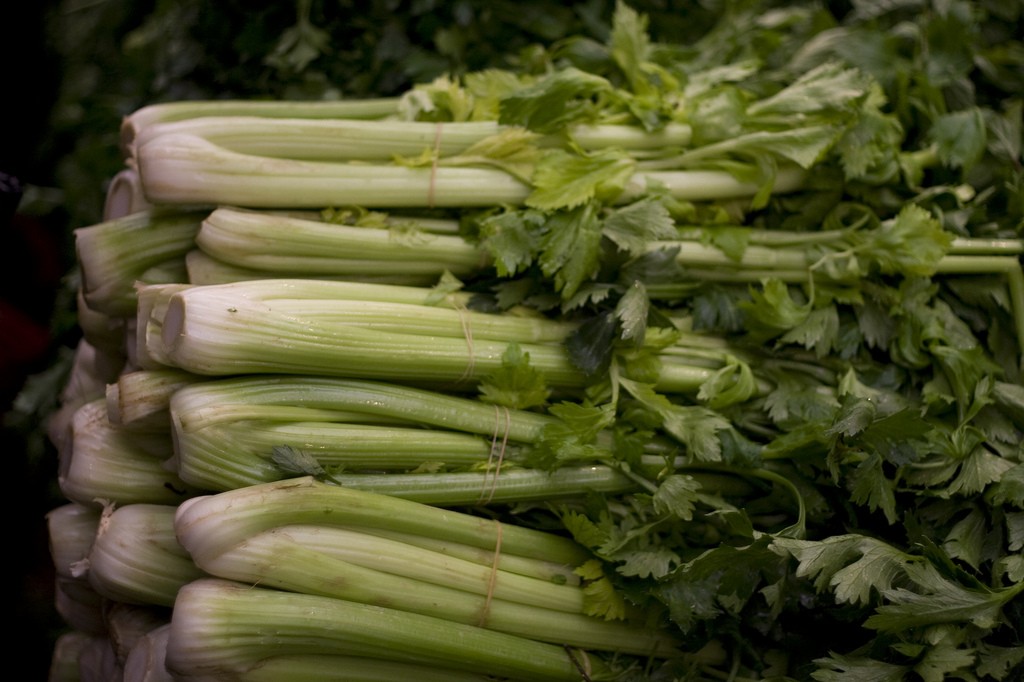 10 Health Benefits of Celery