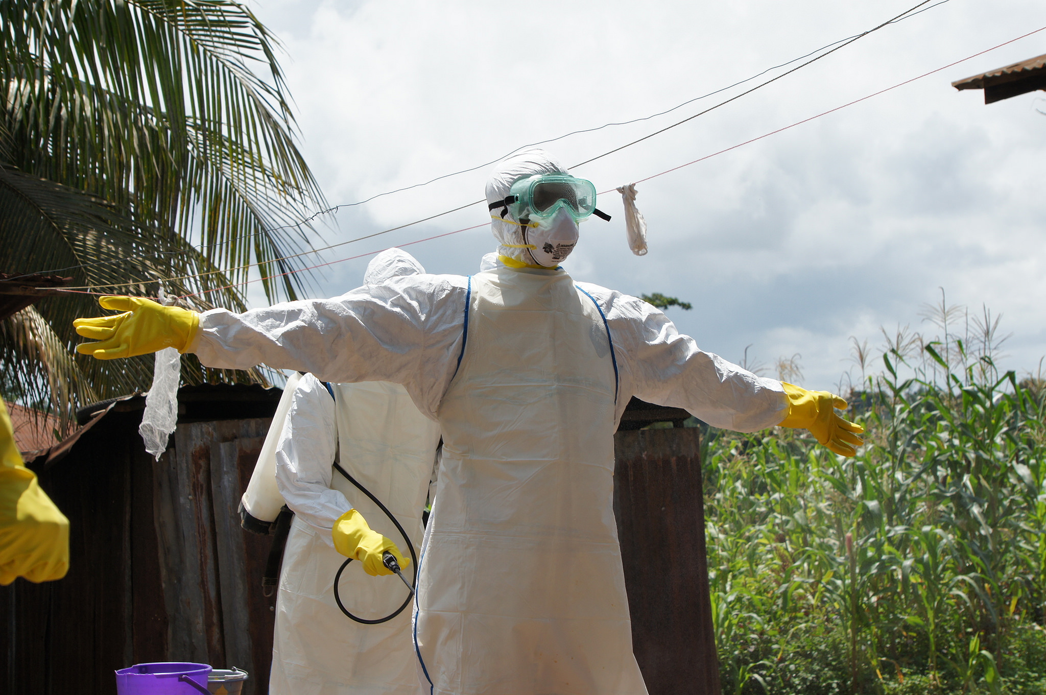 Ebola What To Know, Stay Safe