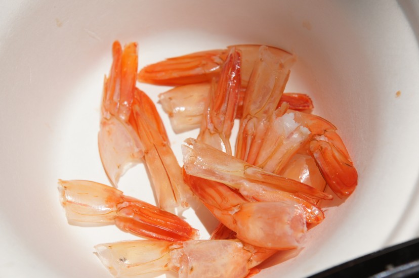 Safest Types Of Shrimp