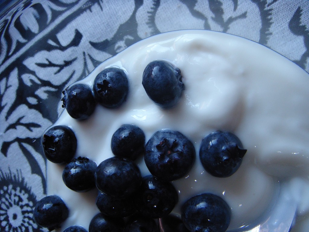 Best Yogurt for Probiotics