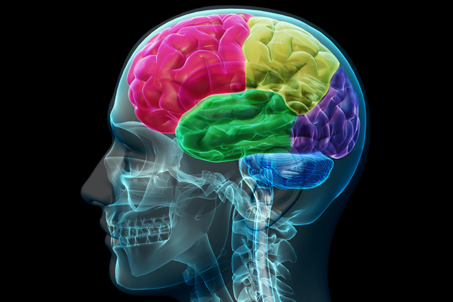 Brain Healthy Diet Alzheimers