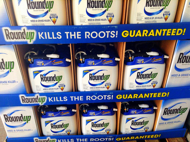 Beware Roundup Weed Killer