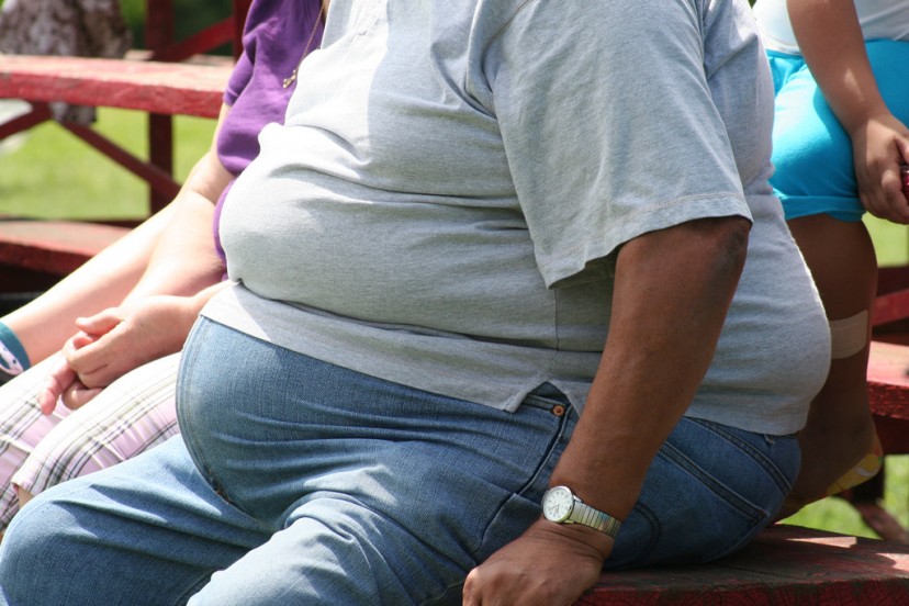 Antibiotics Causes Obesity