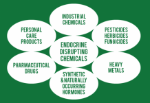 Dangerous Endocrine Disrupting Compounds CHART