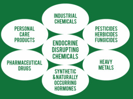 Dangerous Endocrine Disrupting Compounds CHART