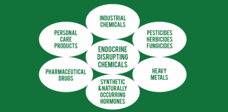 Dangerous Endocrine Disrupting Compounds CHART