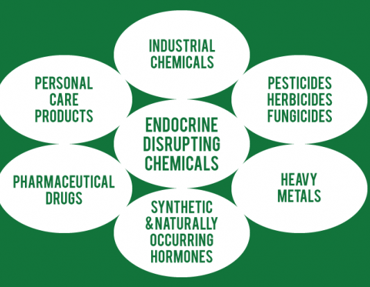 Dangerous Endocrine Disrupting Compounds CHART