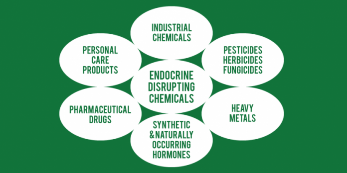 Dangerous Endocrine Disrupting Compounds CHART