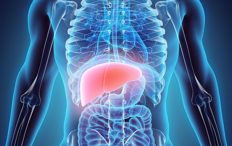 reverse fatty liver