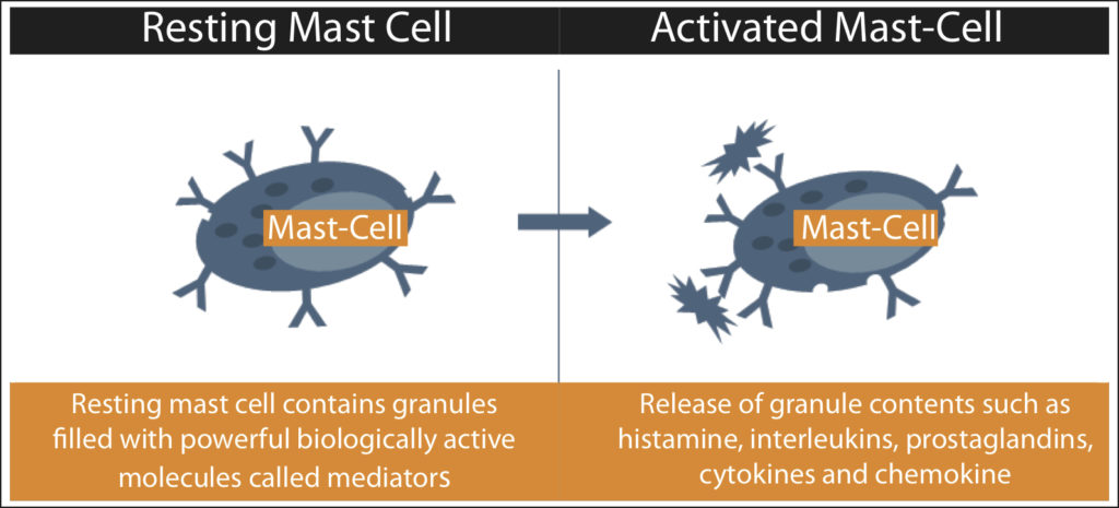 MCAS mast cell activity