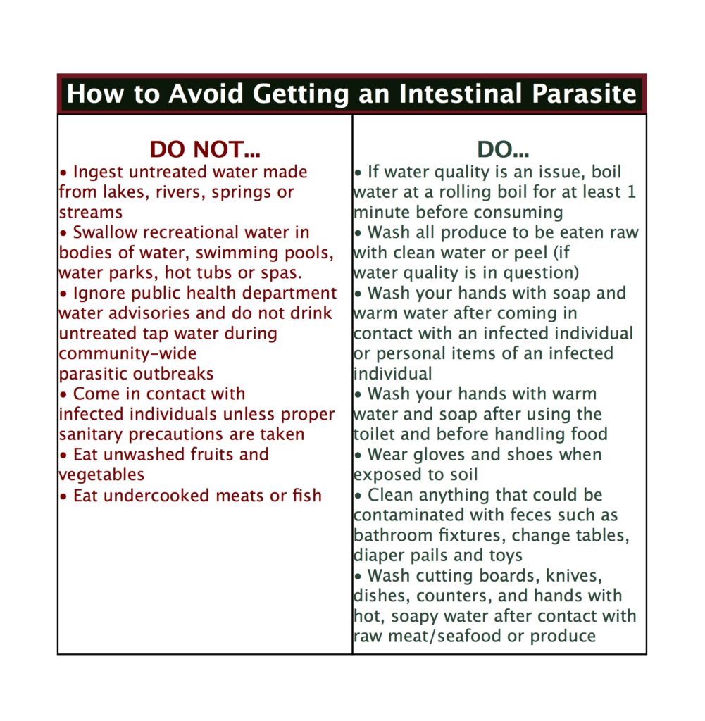 avoid intestinal parasites infographic final