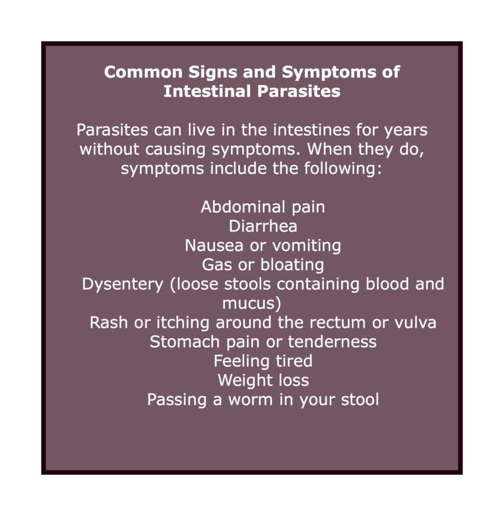 symptoms of intestinal parasites infographic