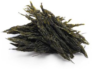 dried brown seaweed