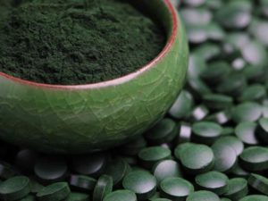 spirulina algae