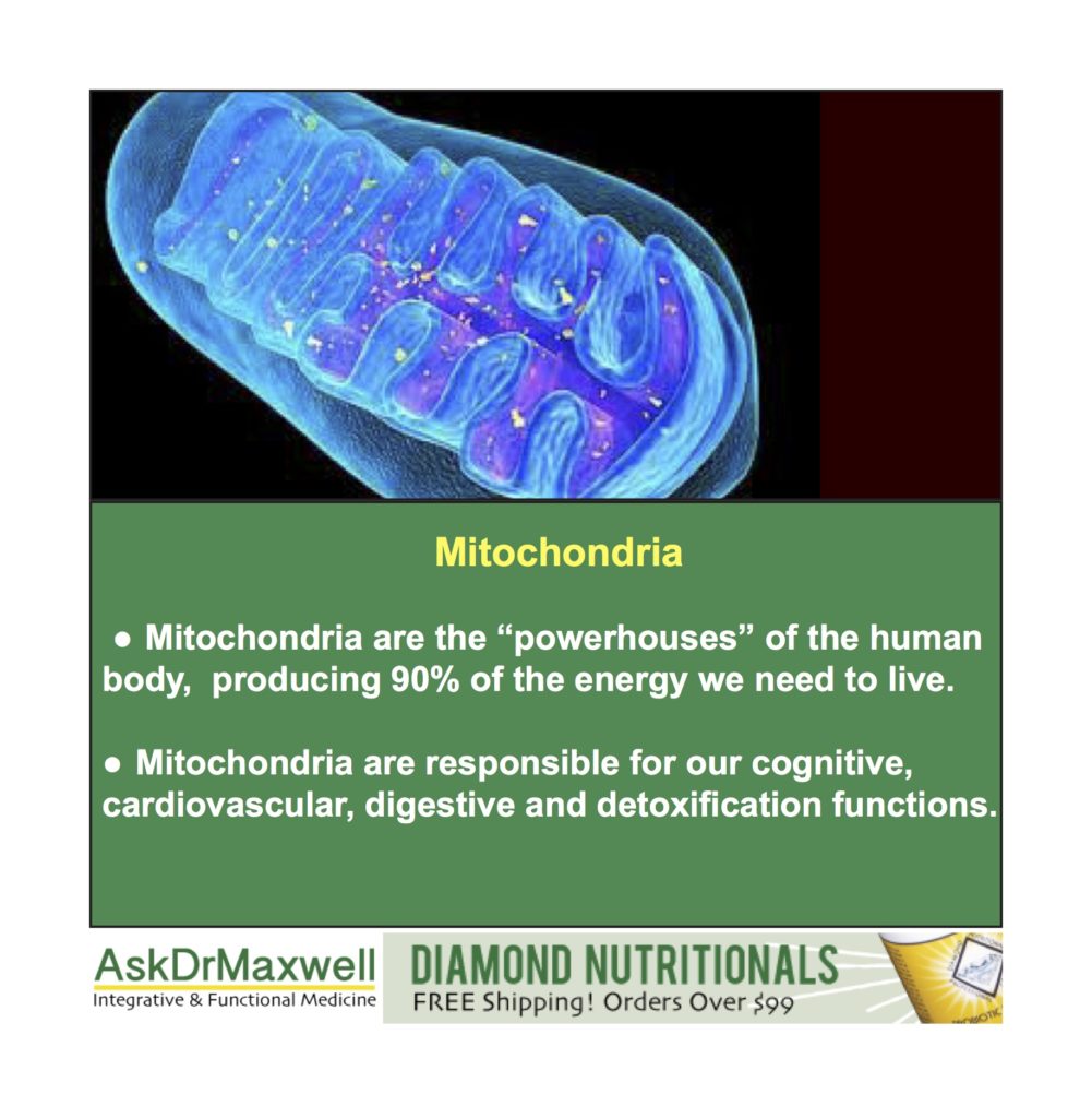 mitochondria infographic 1 revised