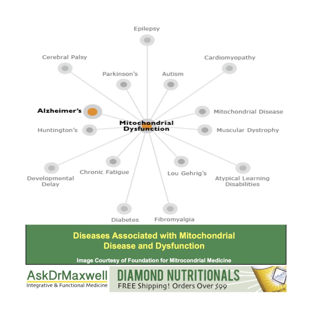 mitochondria infographic 2