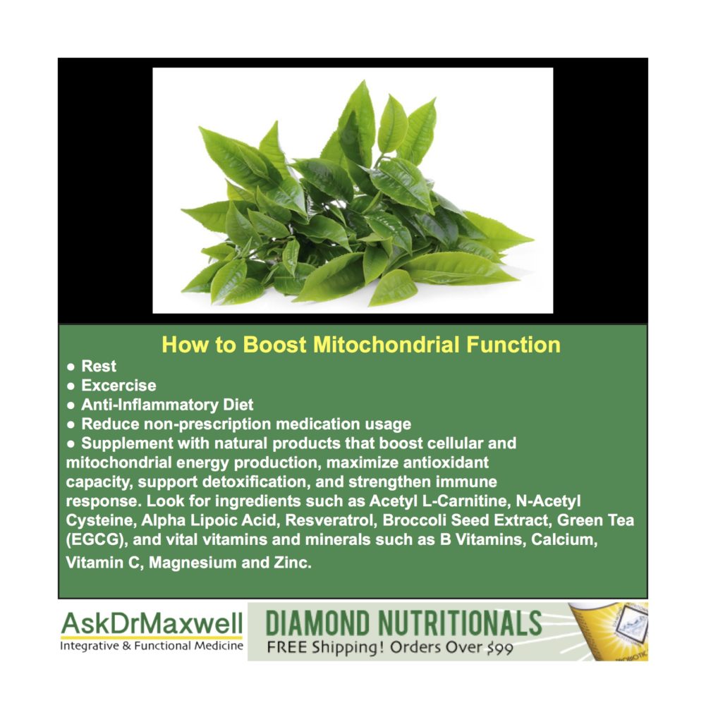 mitochondria infographic 5