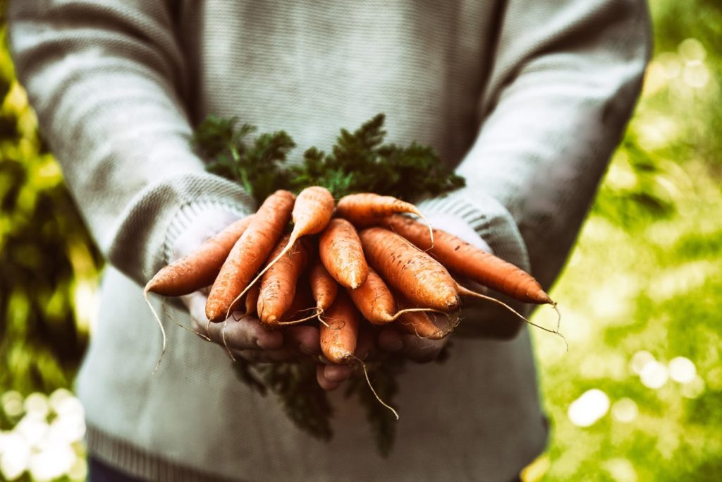 inflammation fighting foods