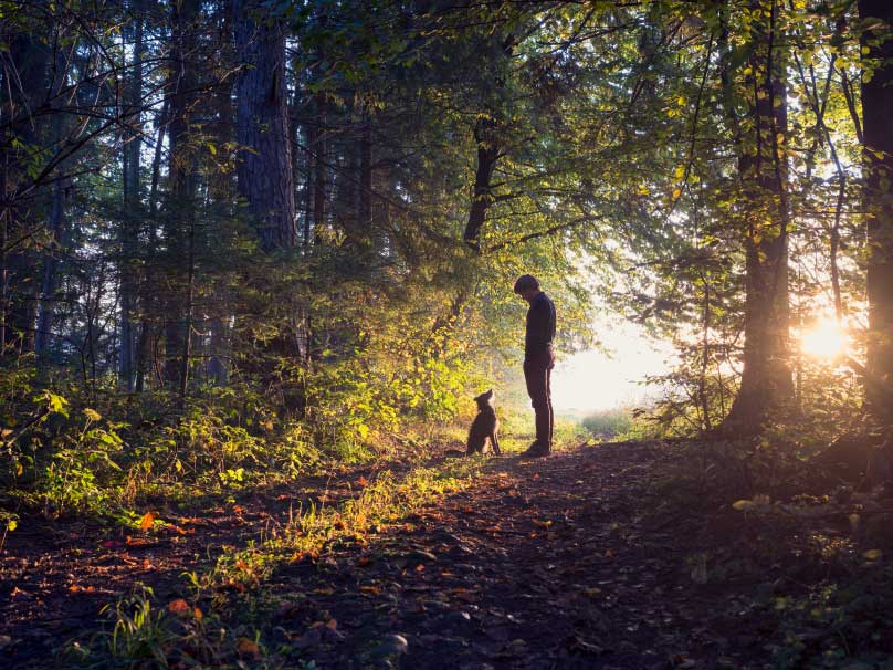 forest bathing