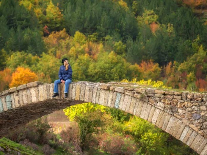 what is forest bathing