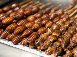 Are You Ready To Start Eating Bugs