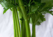 celery juice cure all