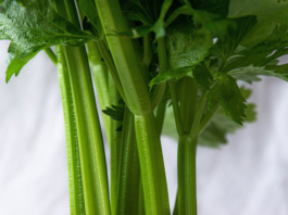 celery juice cure all