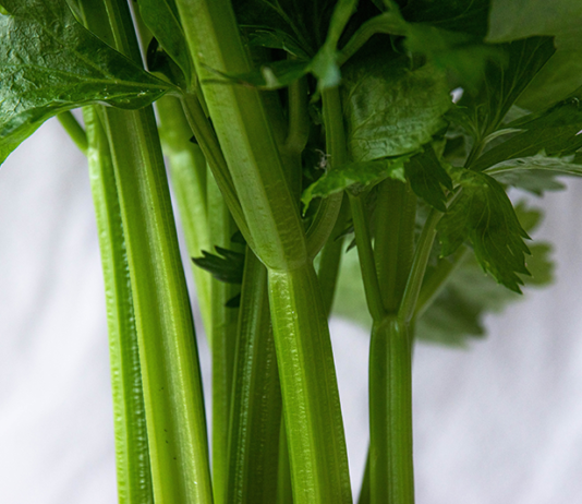 celery juice cure all