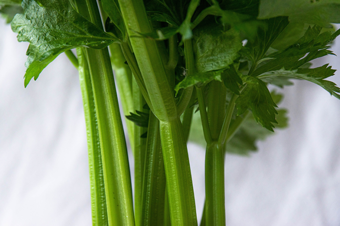 celery juice cure all